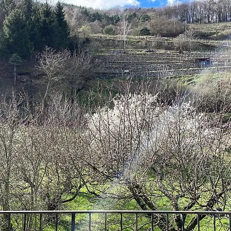 Bei Spitz / Wachau Semesterbostad Schwallenbach