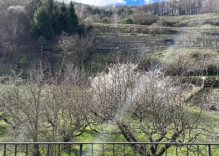 Bei Spitz / Wachau בית נופש Schwallenbach